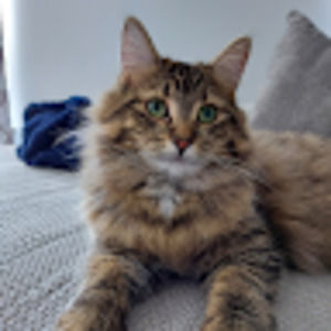 Meet your Posher, Sally